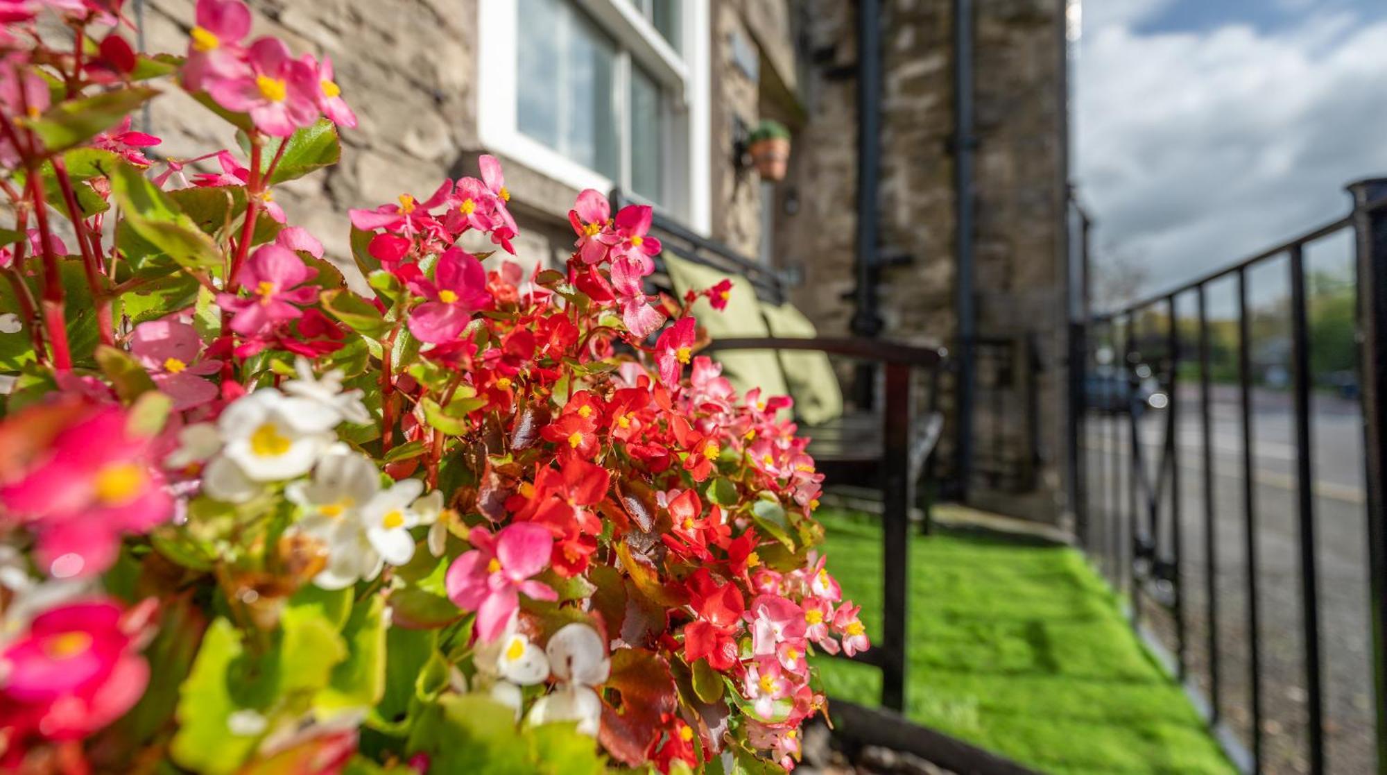 Wee Toad Hole Heart Of Kendal - Cottage Sleeps 4-6 - Dogs Welcome Exterior photo
